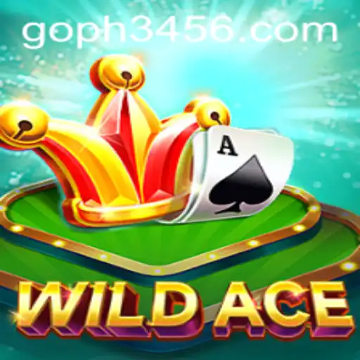Exploring the Thrills of WildAce: A New Era in Gaming